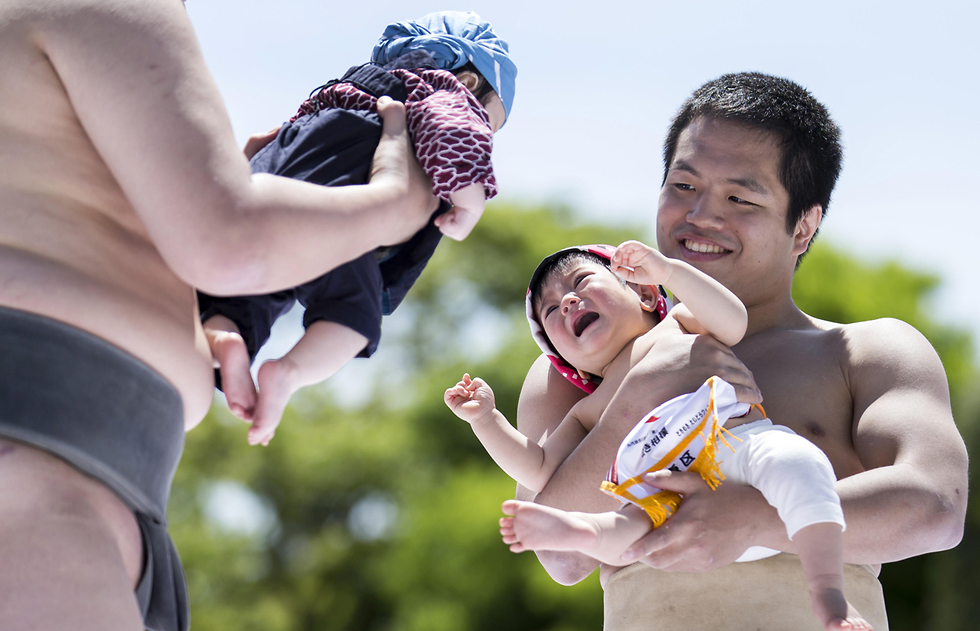 יפן מתאבקי סומו טלטול תינוקות  (צילום: gettyimages)