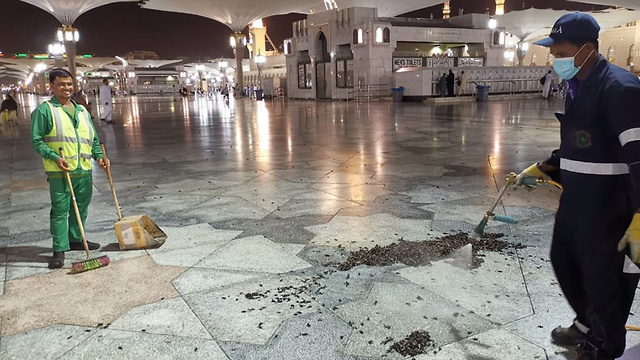 Саудовские рабочие очищают мечеть в Медине от жуков