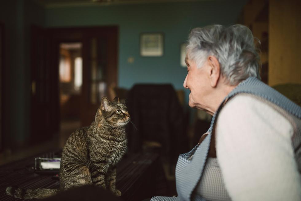 קשישה עם חתול (צילום: shutterstock)