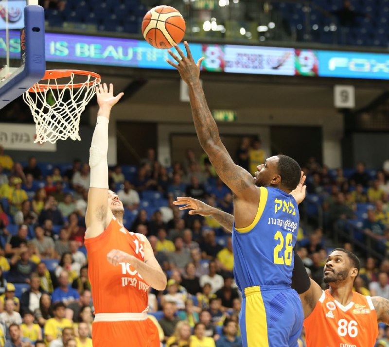 צילום: אבי מועלם צילום: אבי מועלם