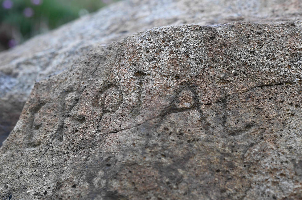הסלע שעליו נחקקה הכתובת המסתורית (צילום: AFP)