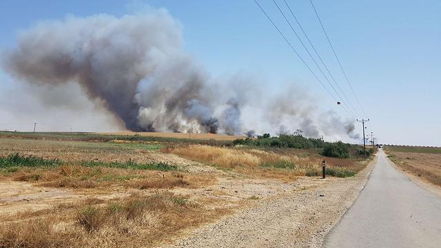 שריפה שנגרמה מבלון בתחום מועצה אזורית שדות נגב (צילום: רועי עידן)