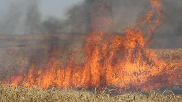 שריפה שנגרמה מבלון בתחום מועצה אזורית שדות נגב (צילום: רועי עידן)