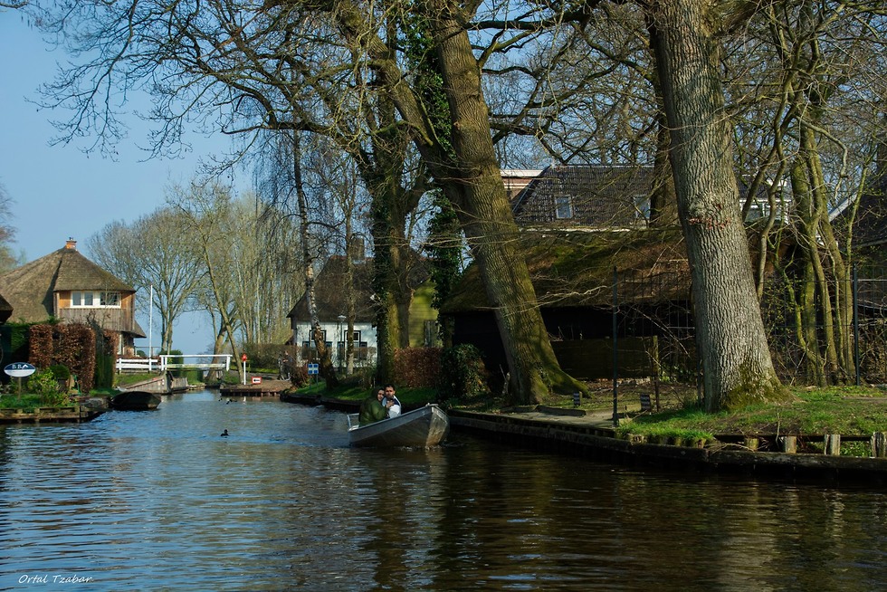 חיטהורן הולנד (צילום: אורטל צבר)