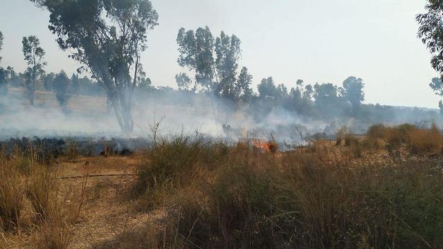 שריפות מבלוני תבערה אשר פרצו במועצה האזורית אשכול (צילום: כיבוי אש)