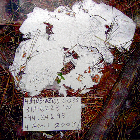 דפי היומן של אילן רמון, כפי שנמצאו על האדמה בטקסס