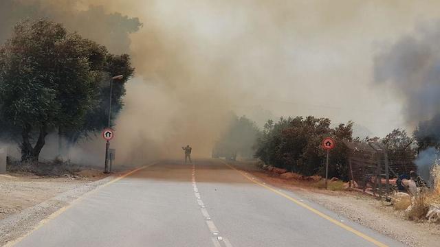 Пожар у Кфар-Урии. Фото: пресс-служба пожарной охраны