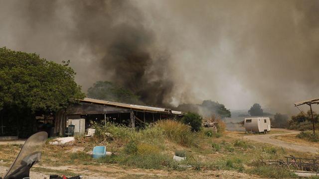 שריפה משתוללת בקיבוץ הראל (צילום: שאול גולן)