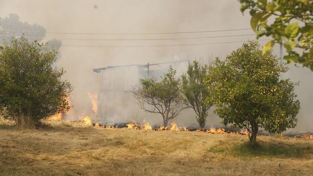 שריפה משתוללת בקיבוץ הראל (צילום: שאול גולן)