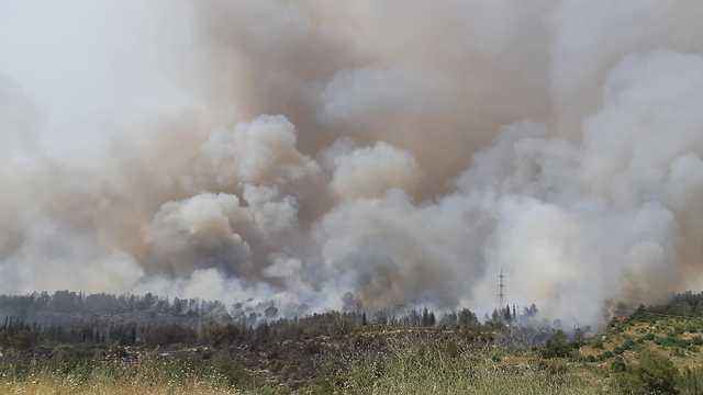 שריפה משתוללת ביער בן שמן (צילום: רועי צור)