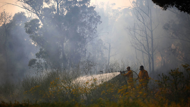 שריפה בבן שמן  (צילום: AP)