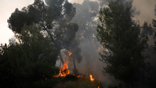 כוחות כיבוי שריפה ליד כפר אוריה וקיבוץ הראל (צילום: AP)