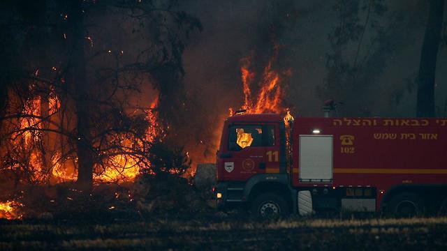 Large firefires destroyed much woodland in central Israel