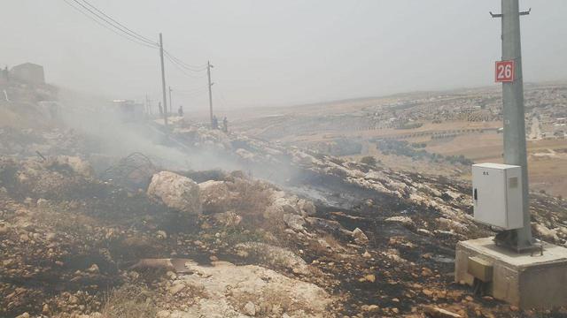 שריפת קוצים בנחל שילה בהר חברון (צילום: מועצה אזורית הר חברון)