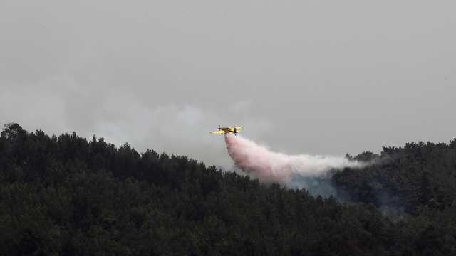 מטוס כיבוי מעל יער סמוך לקיבוץ הראל (צילום: רויטרס)