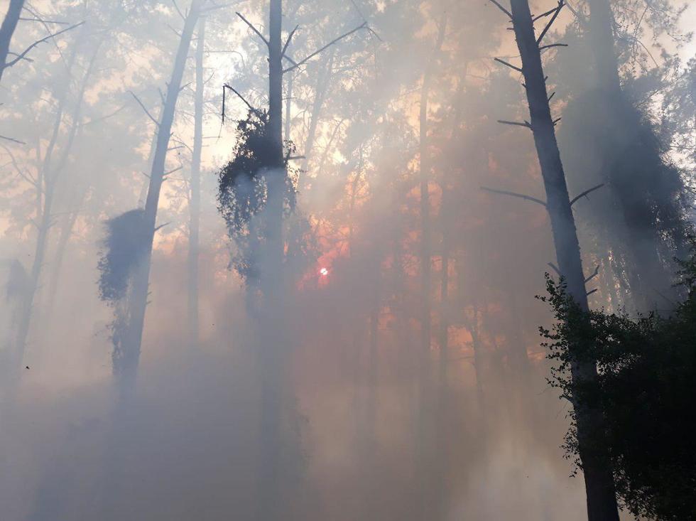 מאמצי כיבוי השריפות ביער צפון למשמר העמק (צילום: דוברות כבאות והצלה לישראל מחוז צפון)