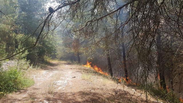  שריפה ביער זורע (צילום: דוברות קק