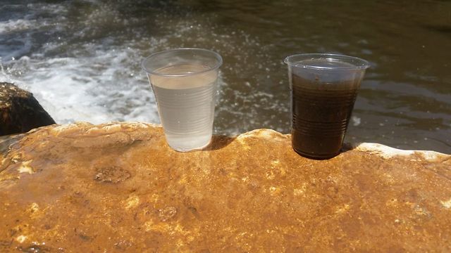 מימין כוס מנחל קנה, משמאל מהירקון (צילום: יוסי דמארי)