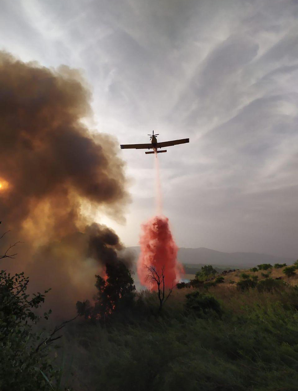 שריפה ברמת הגולן (צילום: הראל מנדל)