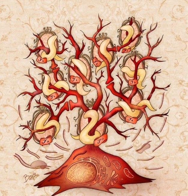 עץ משפחה של תולעים, שבבסיסו נוירון (תא עצב), ומולקולות רנ״א שמעבירות מידע בין דורות (איור: Beata Edyta Mierzwa )
