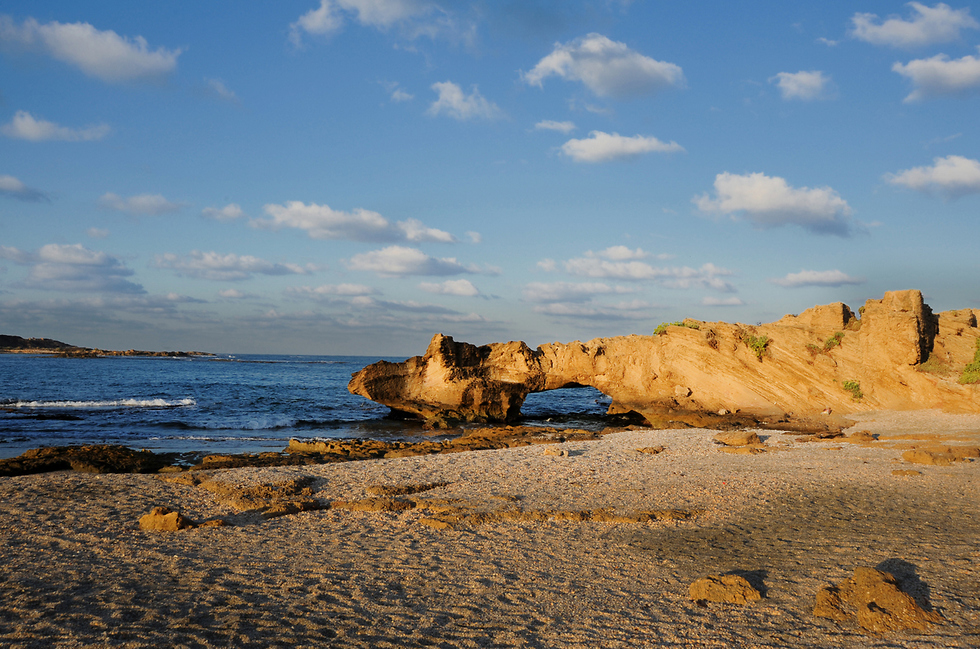 חוף דור (בחוף הכרמל) (צילום: רן פרץ)