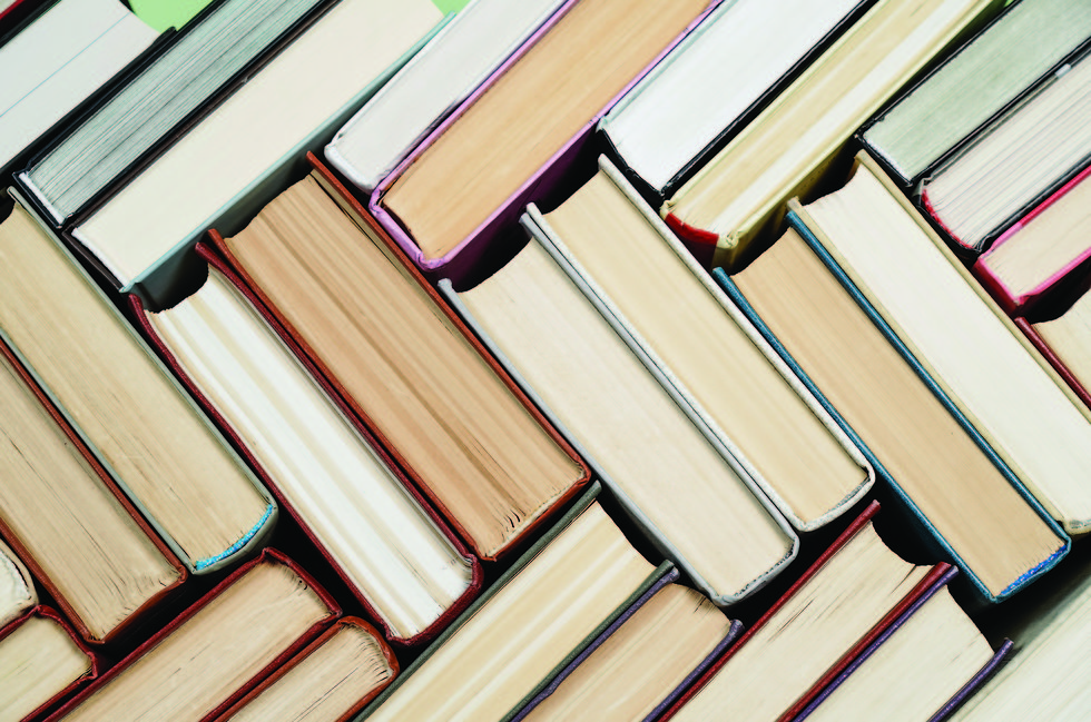 צילום: shutterstock צילום: shutterstock