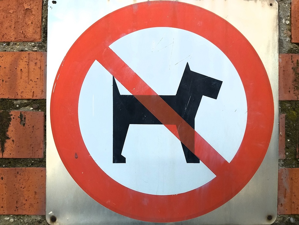 הכניסה לכלבים אסורה (צילום: shutterstock)