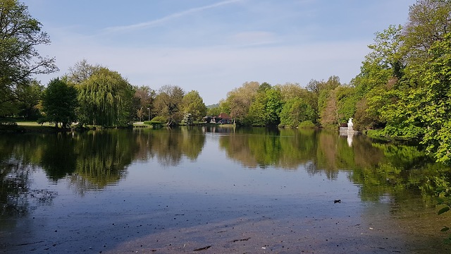 צילום: איתמר אייכנר צילום: איתמר אייכנר