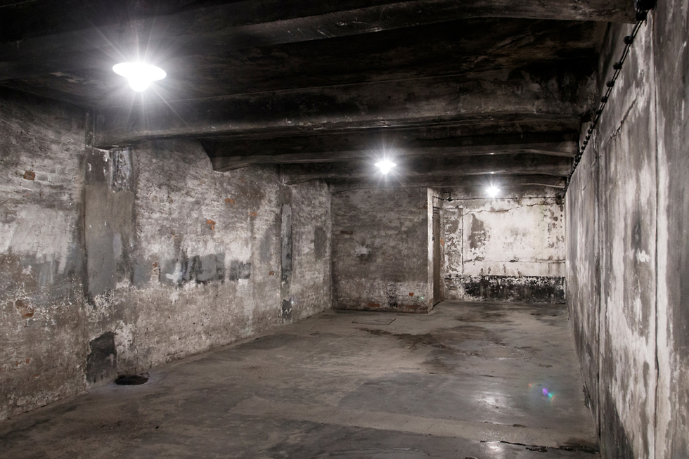 צילום: shutterstock צילום: shutterstock