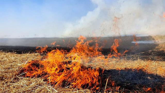 שריפות בכפר עזה (צילום: רועי עידן)