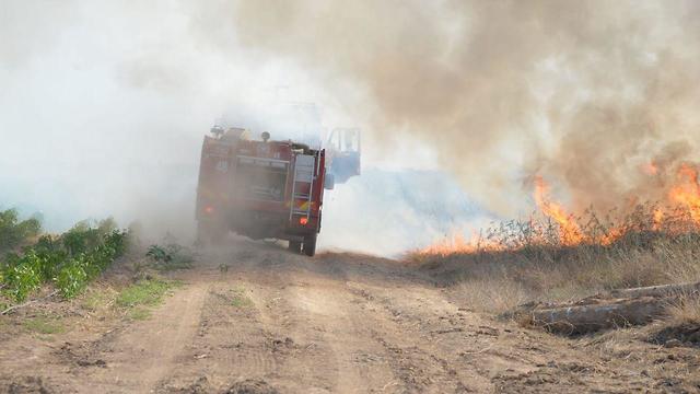 Пожар на юге Израиля. Фото: пресс-служба пожарной охраны