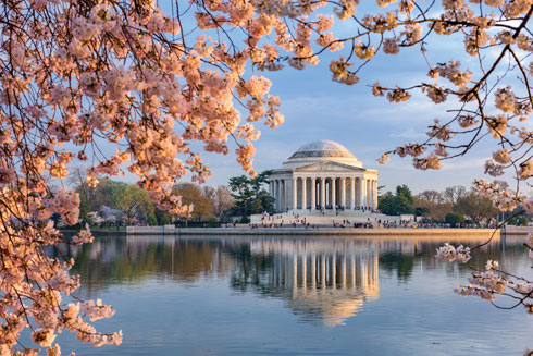 מגלים את אמריקה. וושינגטון  (צילום: Shutterstock)