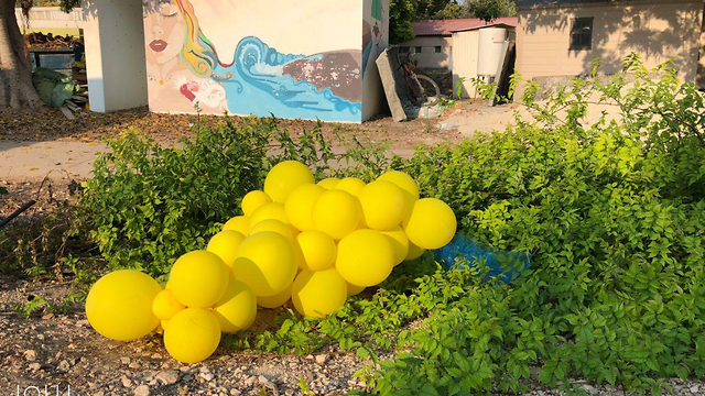 Связка шаров со взрывчаткой в Нахаль-Оз. Фото: Том Орен-Даненберг