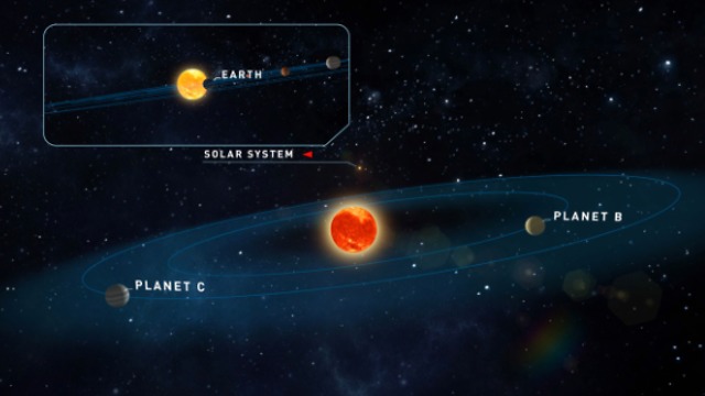 פוטנציאל טוב לקיום חיים. הננס האדום טיגרדן ושני כוכבי הלכת, בהשווא למע' השמש שלנו  (איור: אוניברסיטת גטינגן)