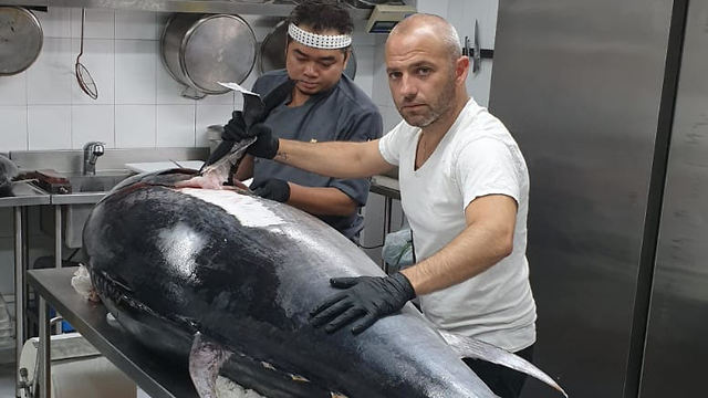 200-килограммовый тунец на кухне ресторана