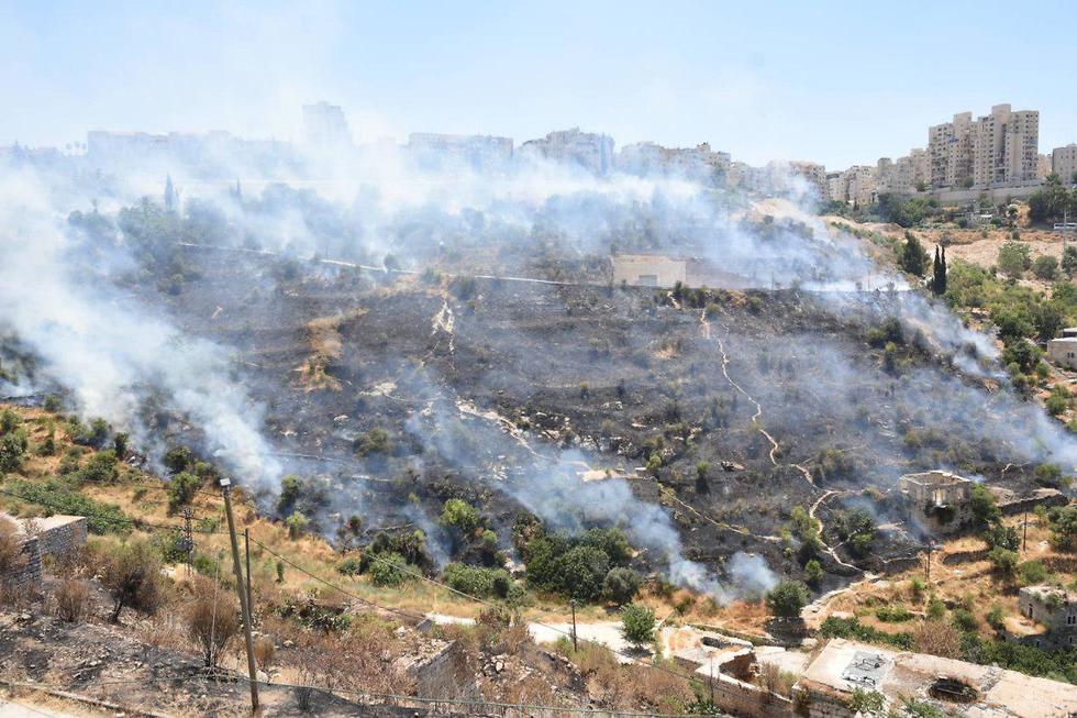 Пожар на въезде в Иерусалим. Фото: Йоав Дудкевич