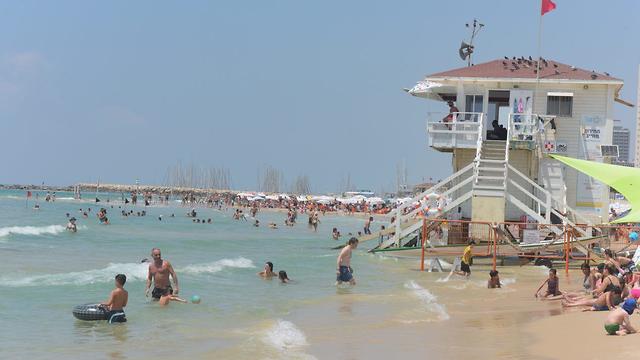 מתרחצים בחוף בננה ביץ' בתל אביב (צילום: מוטי קמחי)