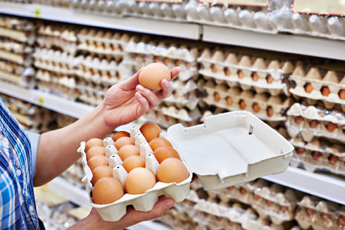טרם הוכח יתרון בריאותי לביצים שהוטלו בתנאים אלה או אחרים (צילום: Shutterstock)