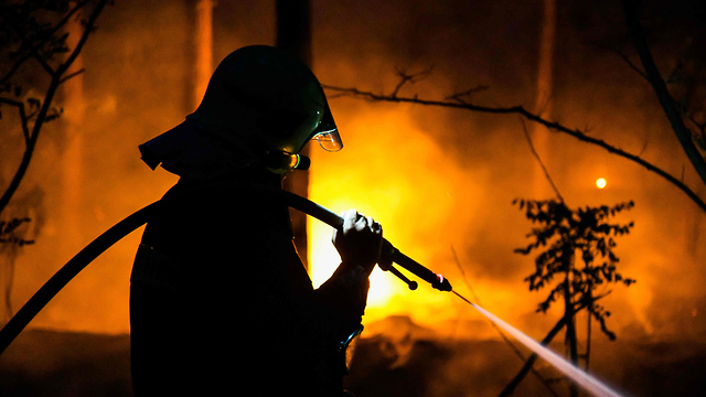 אירופה גל חום שריפה ב יער בצפון גרמניה (צילום: AFP)
