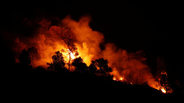  שריפות ספרד גל חום (צילום: רויטרס)