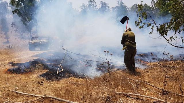 Пожар в лесу Беэри. Фото: ККЛ