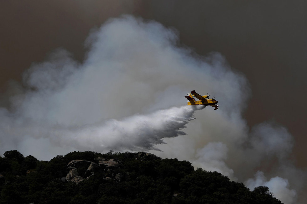 גל חום ב אירופה שריפה שריפת יער ב טולדו מרכז ספרד (צילום: AFP)