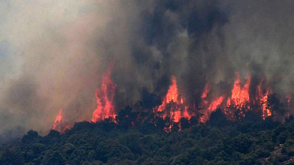 גל חום ב אירופה שריפה שריפת יער ב טולדו מרכז ספרד (צילום: EPA)