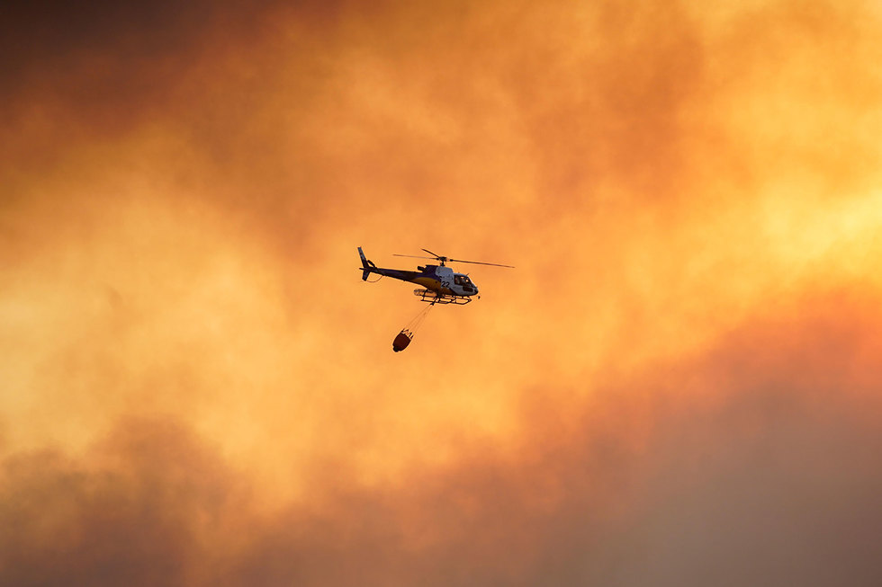גל חום ב אירופה שריפה שריפת יער ב טולדו מרכז ספרד (צילום: רויטרס)