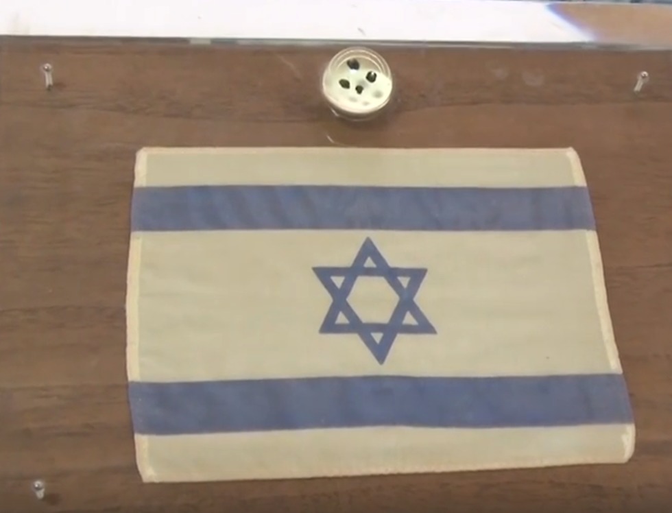האבנים מהירח ודגל ישראל שהיה במשימת אפולו 11 בארכיון המדינה (צילום: אלכס גמבורג)