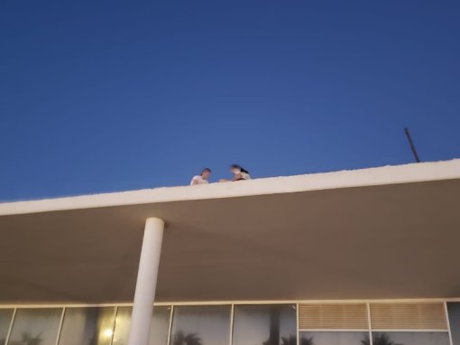 Девочки на крыше строящегося здания. Фото: Ами Кауфман