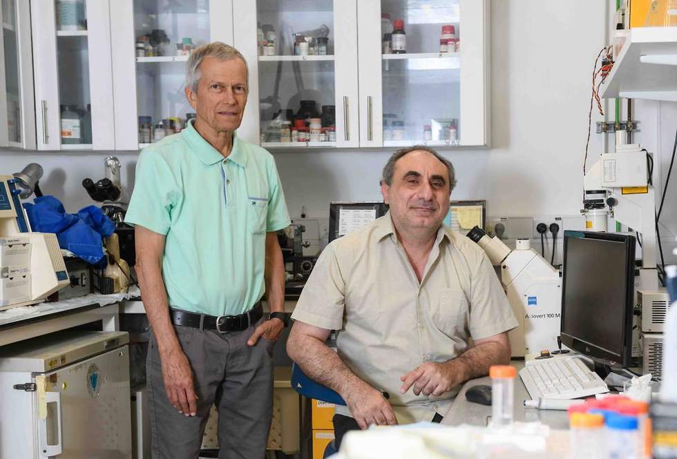 צילום: מסע הקסם המדעי, מכון ויצמן למדע צילום: מסע הקסם המדעי, מכון ויצמן למדע