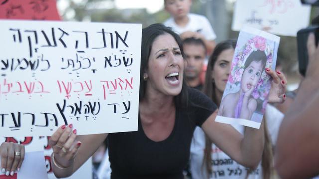 צילום: תומר שונם צילום: תומר שונם