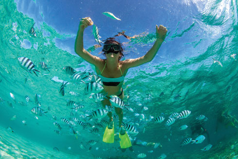הים צלול כמו אקווריום  (צילום: Shutterstock)