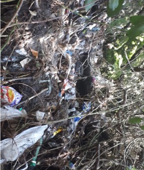 פסולת בנחל ורדיה (צילום: יאיר אלקון, החברה להגנת הטבע)